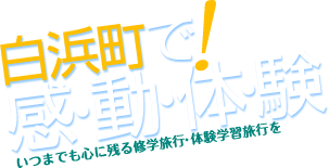 白浜町で感動体験!