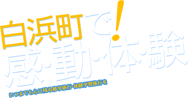 白浜町で感動体験!