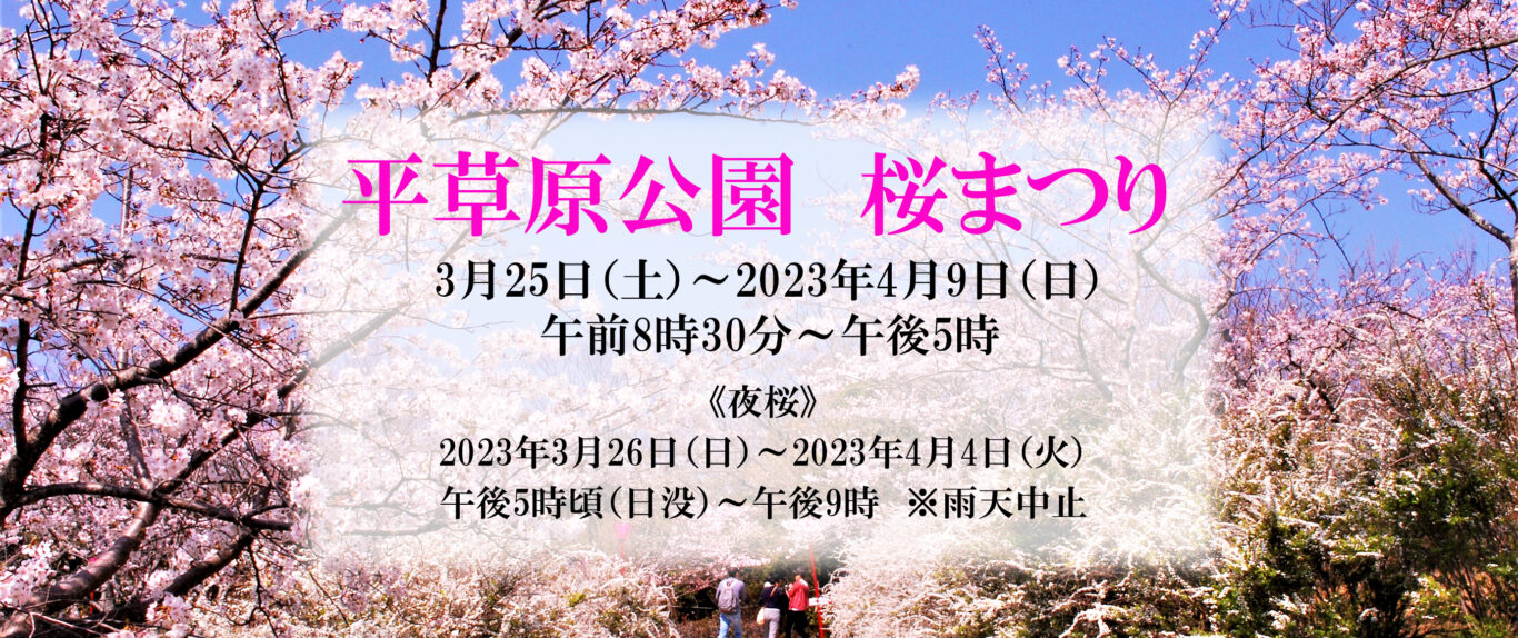 春の草原 千年の草原 | 阿蘇市観光協会 ASO is GOOD!