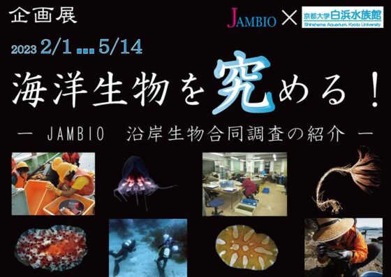 海洋生物を究める！JAMBIO沿岸生物合同調査の紹介