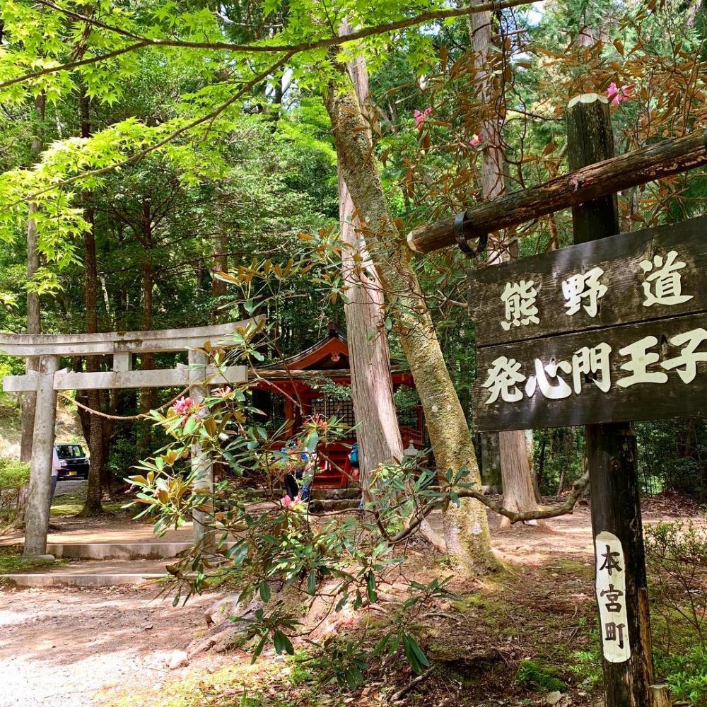 臨時便運行キャンペーン）南紀白浜発着ジャンボタクシー等による熊野古道日帰りツアー 