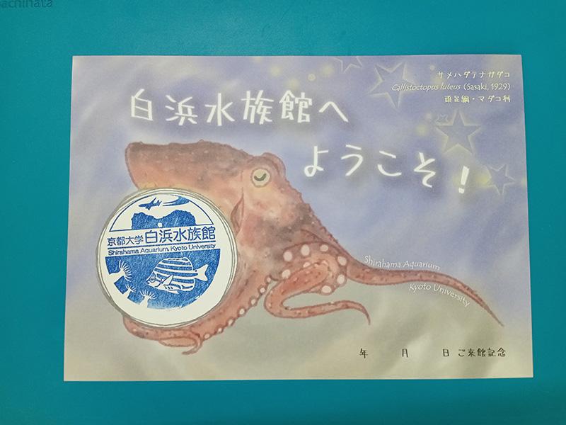 京都大学白浜水族館さまよりお知らせ）ご来館の記念に押して頂けるスタンプを設置しました