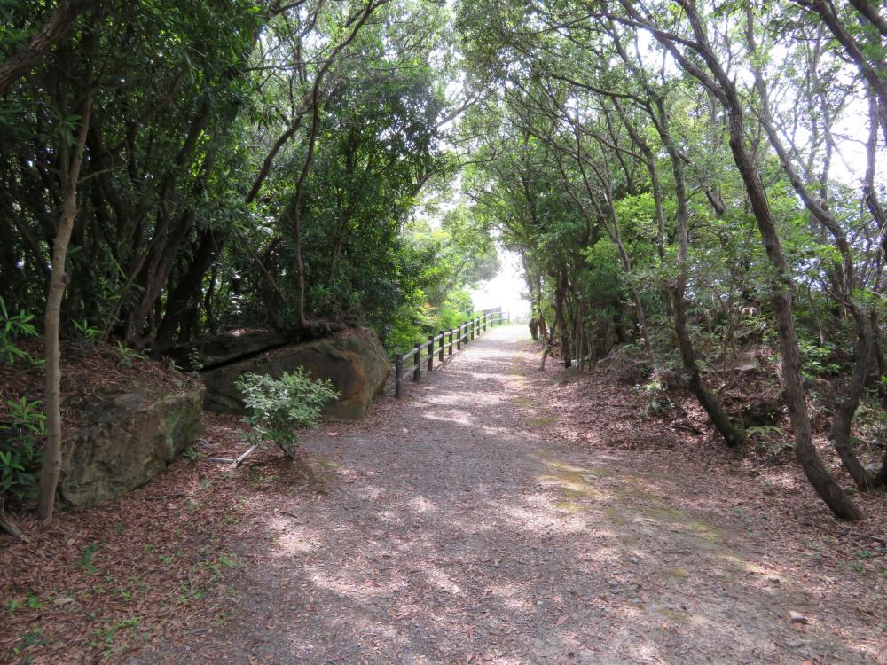 いそぎ公園（チャボ公園）