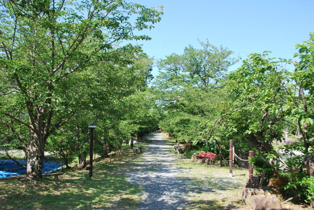 金刀比羅神社