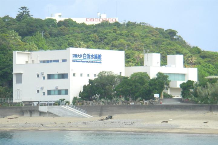 京都大学白浜水族館