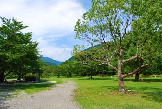 向平キャンプ村