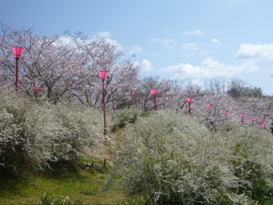 平草原