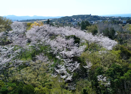 平草原　キャプチャ