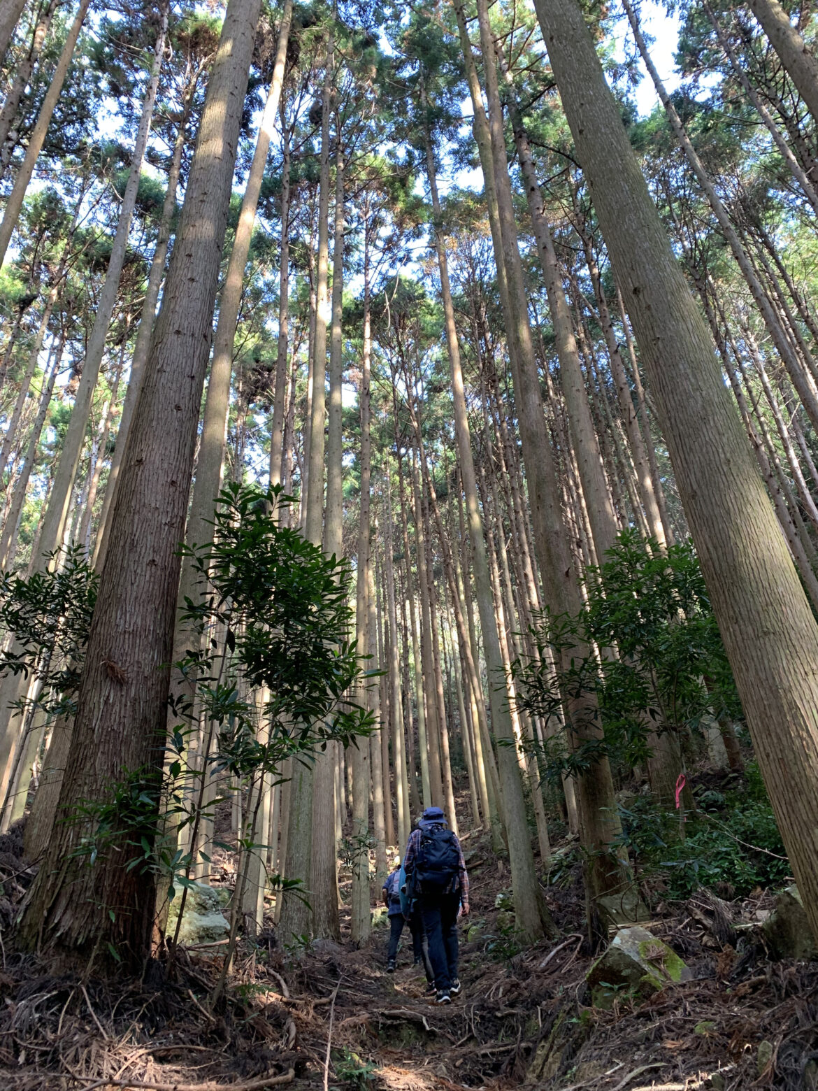 白浜美術館