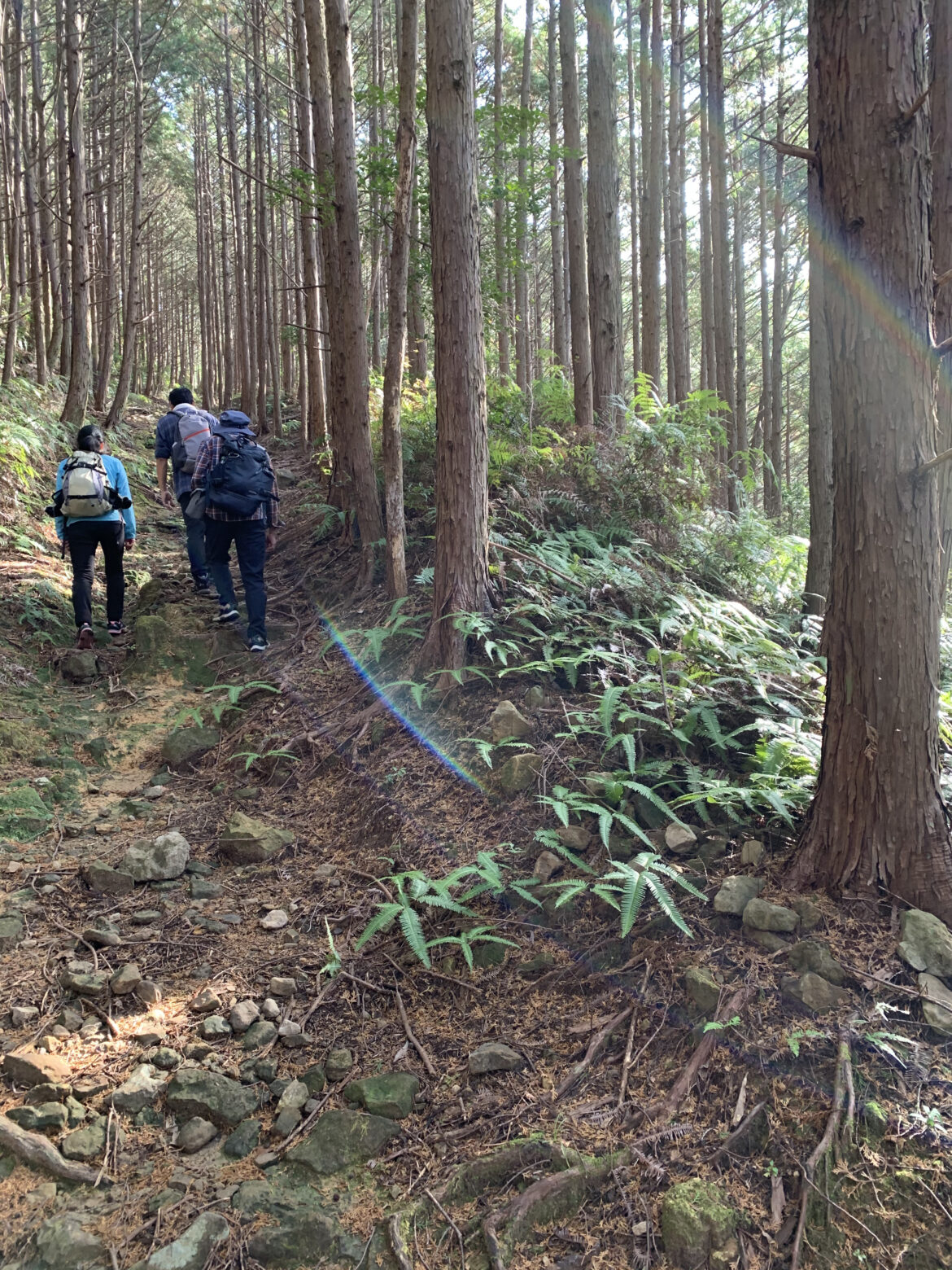 熊野古道大辺路ルート　富田坂