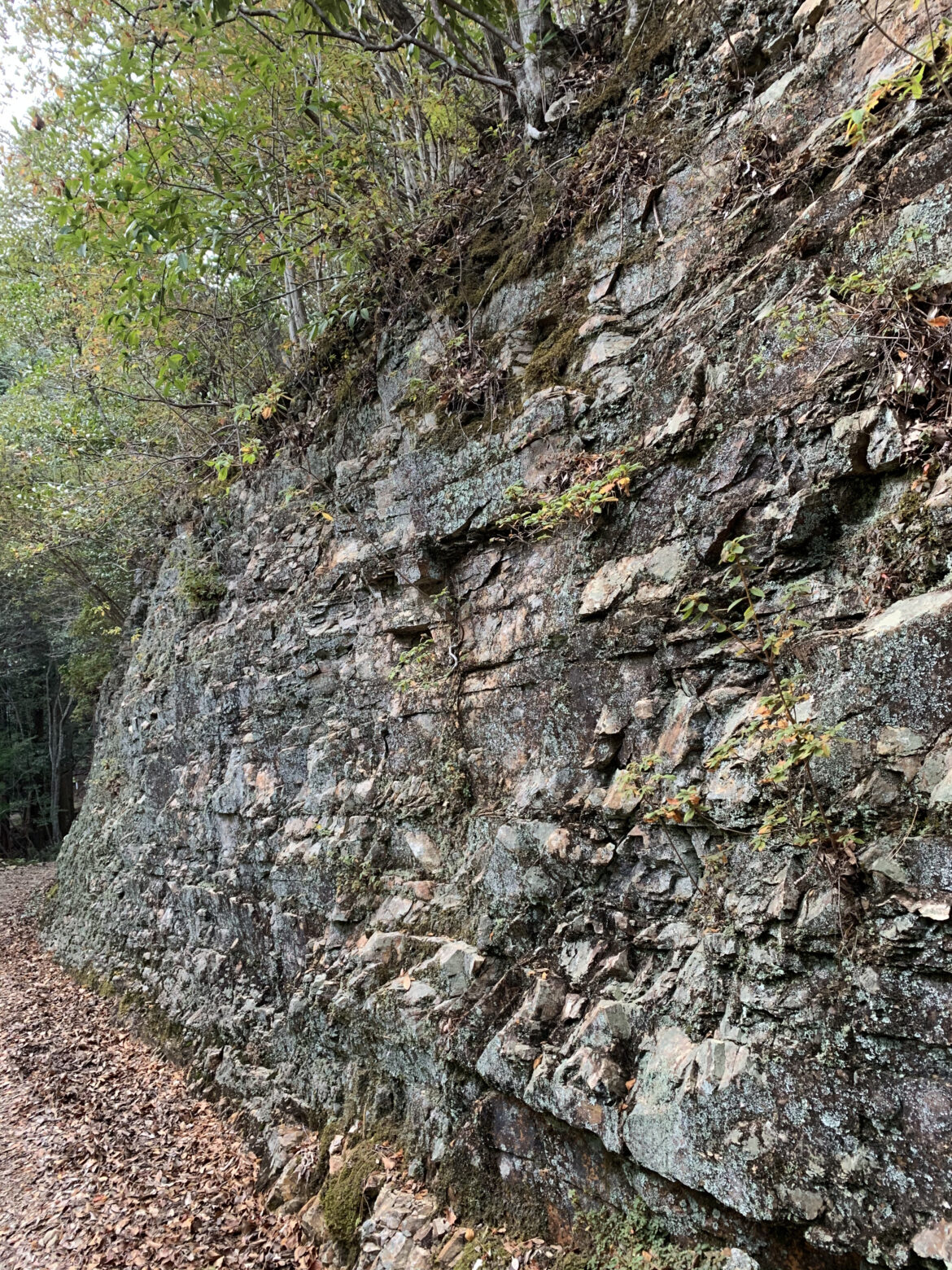 熊野古道大辺路ルート　富田坂