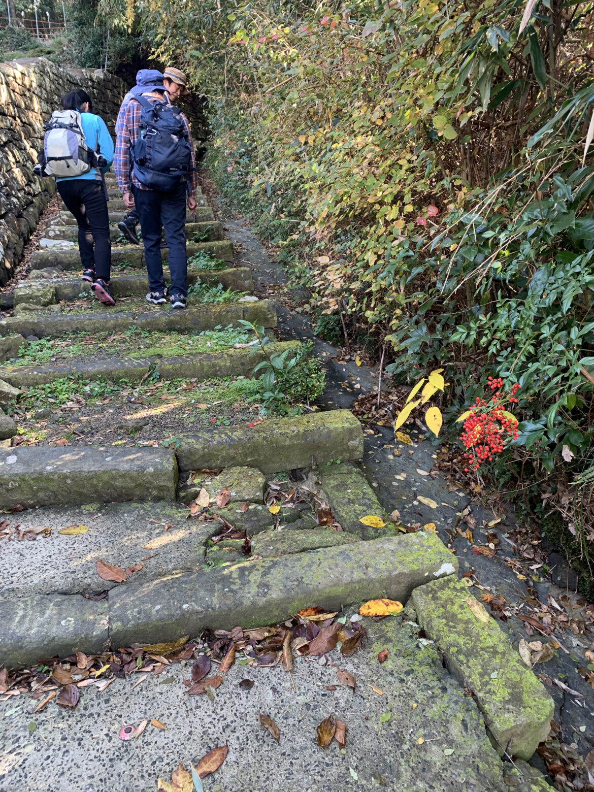 熊野古道大辺路ルート　富田坂