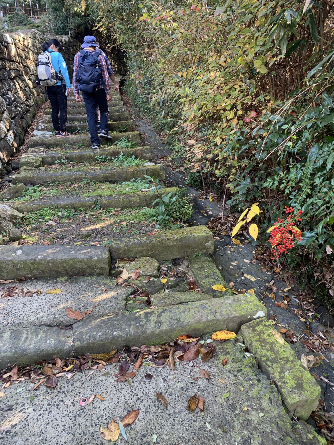 熊野古道大辺路ルート　富田坂