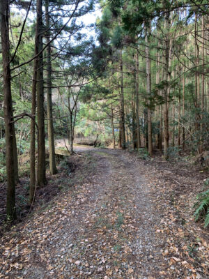 熊野古道大辺路ルート　富田坂