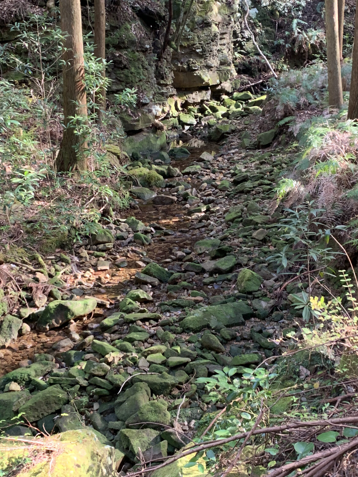 熊野古道大辺路ルート　富田坂