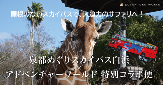 泉都めぐりスカイバス白浜 × アドベンチャーワールド 特別コラボ便